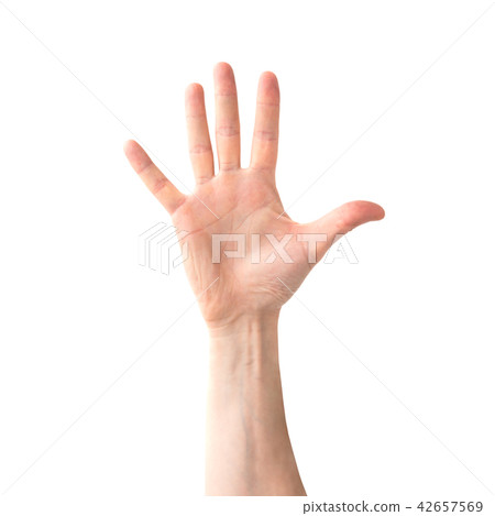 Woman open hand 42657569