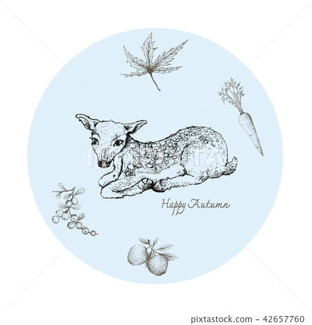 Fawn Deer with Autumn Fruits and Plants Fawn Deer with Autumn Fruits and Plants 42657760