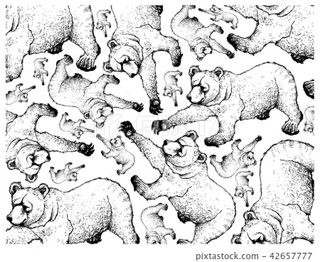 Hand Drawn Background of Autumn Grizzly Bears 42657777