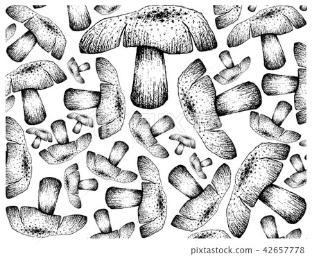 Wallpaper Background of Autumn Mushrooms Wallpaper Background of Autumn Mushrooms 42657778