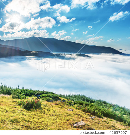 Green mountains in the clouds Green mountains in the clouds 42657907
