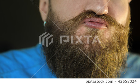 Beard and Mustache Close Up 42658024