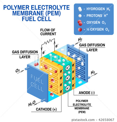 Fuel cell diagram. Vector illustration. Fuel cell diagram. Vector illustration. 42658067