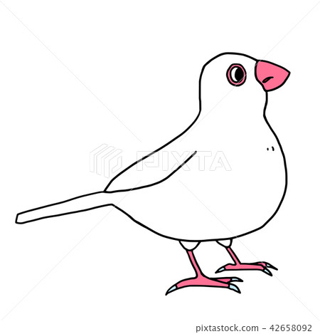 White Stone Bird 42658092