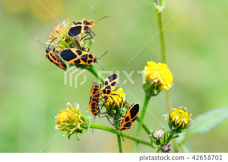 永井先生 42658701