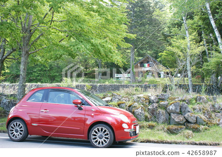 Early summer Early summer 42658987