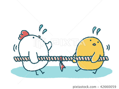 Chick and chicken loose tug of war Chick and chicken loose tug of war 42660059