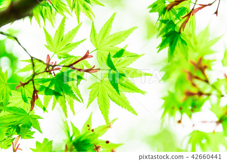 Cool · cool feeling image 42660441