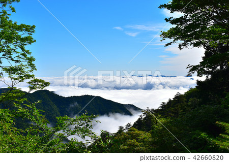 The sea of clouds from the mountain path 42660820