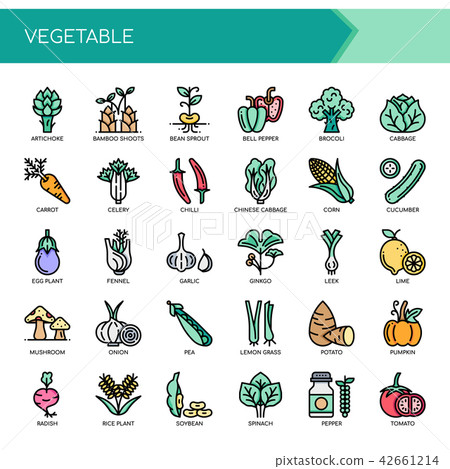 Vegetable , Thin Line and Pixel Perfect Icons. 42661214