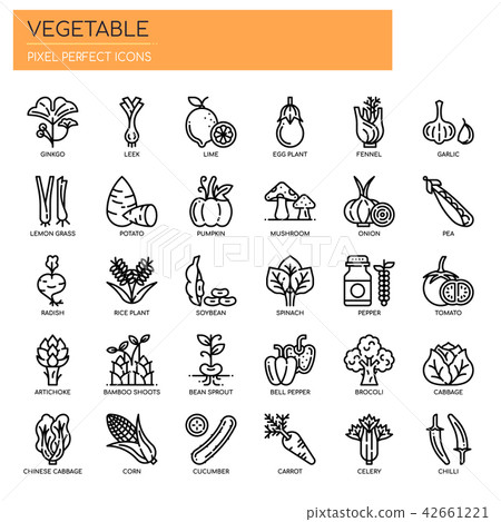 Vegetable , Thin Line and Pixel Perfect Icons. Vegetable , Thin Line and Pixel Perfect Icons. 42661221