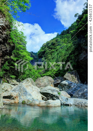 Nishido Valley Ninjin Valley 42661537