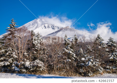 (靜岡縣)富士雪後,從周三公園看 (靜岡縣)富士雪後,從周三公園看 42661557