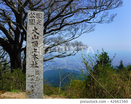 View of the summit 42661560