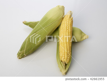 Fresh corn white table background, closeup 42661955