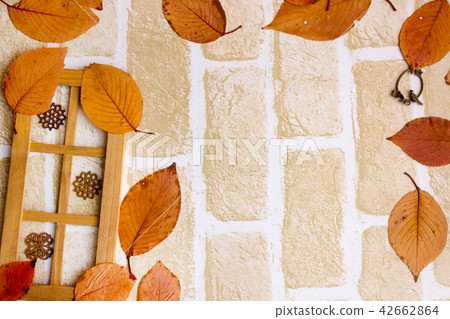 Fall image Fall image 42662864