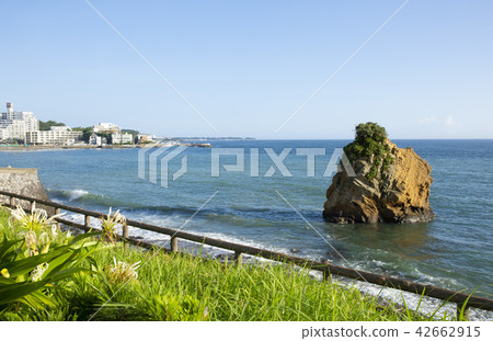 Yokosuka Akiya Tateishi Park 42662915