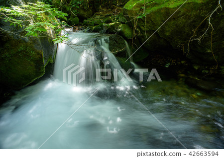 清秋森林的流動 42663594