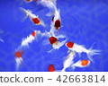 Aquarium goldfish 42663814
