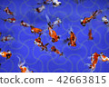 Aquarium goldfish 42663815