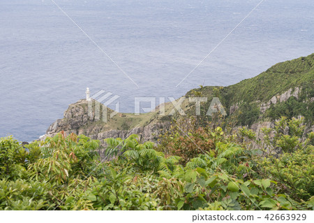 Oose Rinkai燈塔 42663929