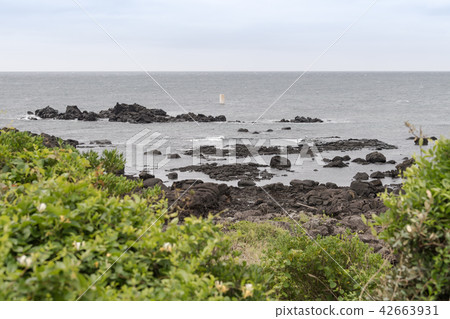 Kasayama nose lighthouse irradiation sign Kasayama nose lighthouse irradiation sign 42663931