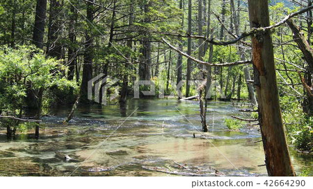 Kamikochi water japanease nagano mauntain 42664290