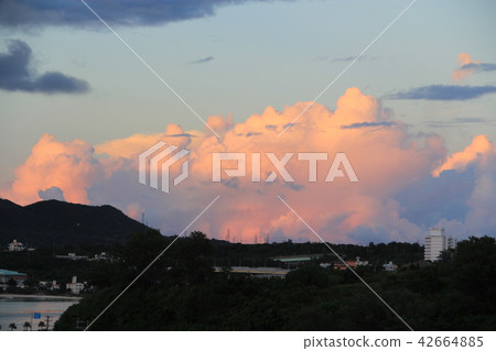 Summer clouds in Okinawa (sunset) 42664885