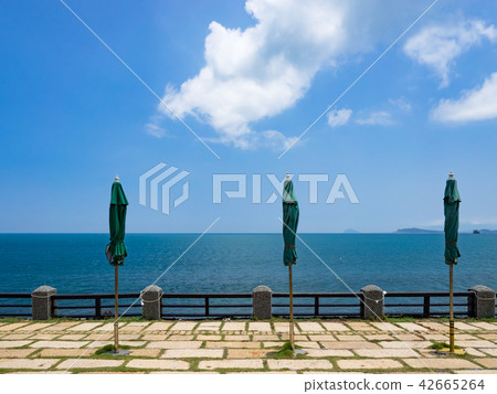 Umbrella at beach 42665264