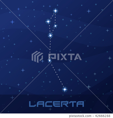 Constellation Lacerta, Lizard, night star sky 42666288