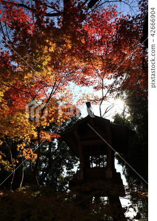 從神社寺廟 42666904