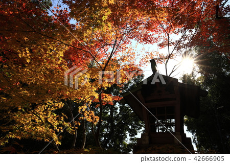 從神社寺廟 從神社寺廟 42666905