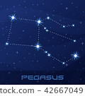 Constellation Pegasus, Winged Horse 42667049