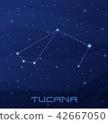 Constellation Tucana, Toucan, night star sky 42667050