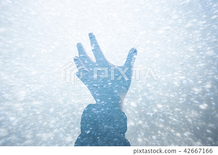 image photo 42667166