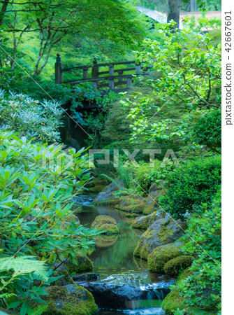 Ogawa in the Japanese garden (Portland Japanese garden) Ogawa in the Japanese garden (Portland Japanese garden) 42667601