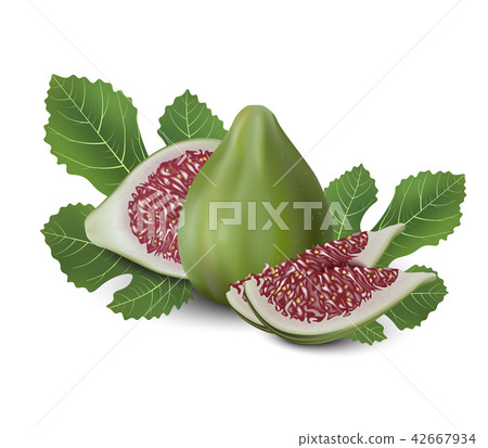 Red and Green Fig. Realistic 3d Figs With Leaves. 42667934