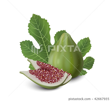 Red and Green Fig. Realistic 3d Figs With Leaves. Red and Green Fig. Realistic 3d Figs With Leaves. 42667935