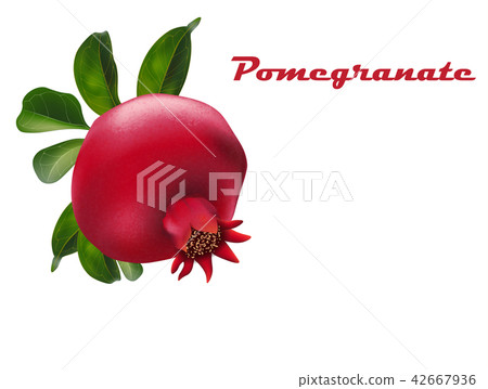 Pomegranate Fruit For Fresh Juice. 3d Realistic Pomegranate Fruit For Fresh Juice. 3d Realistic 42667936