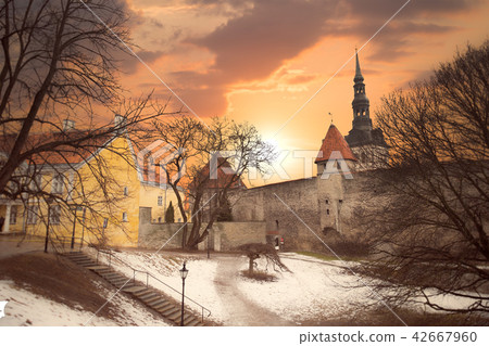 beautiful photos of Tallinn beautiful photos of Tallinn 42667960