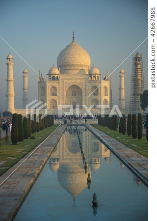 Taj Mahal 42667988