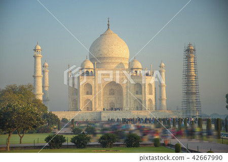 Taj Mahal 42667990