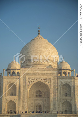 Taj Mahal 42667992