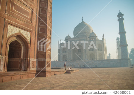 Taj Mahal Taj Mahal 42668001
