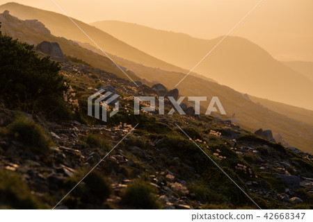 Kiso Komagatake mountain peak Sunlight glow Kiso Komagatake mountain peak Sunlight glow 42668347