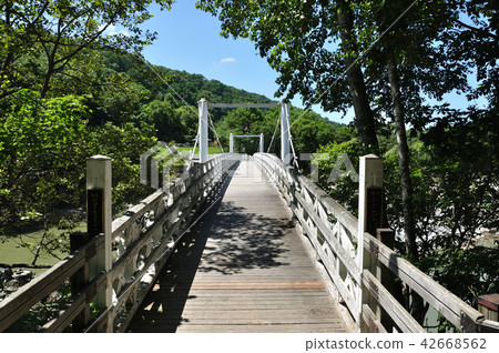 Kamii Kotan Kamui Ohashi 42668562