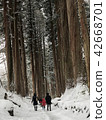 Togakushi神社Okusha冬天雪松樹 42668701