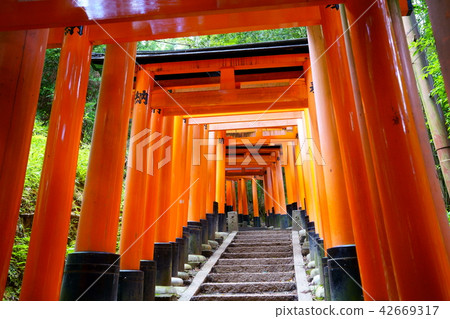 [京都]伏見稻荷神社 42669317