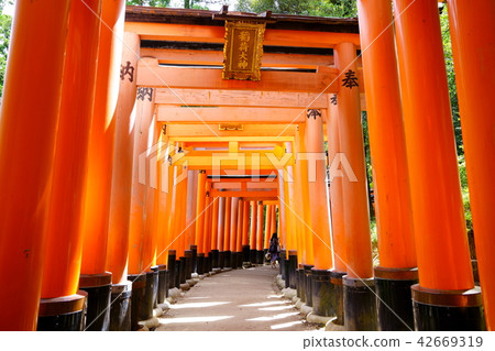 [京都]伏見稻荷神社 42669319