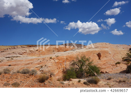 Valley of Fire State Park 42669657
